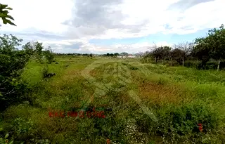 Парцел в Пловдив, с. Първенец