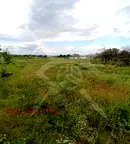 Парцел в Пловдив, с. Първенец