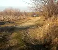 Снимка 3 — Парцел в Пловдив, с. Първенец