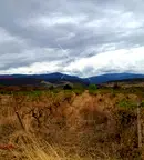 Парцел в Пловдив, с. Първенец