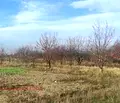 Снимка 2 — Парцел в Пловдив, с. Първенец