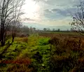 Снимка 3 — Парцел в Пловдив, с. Първенец
