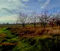Снимка 4 — Парцел в Пловдив, с. Първенец