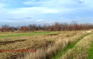 Парцел в Пловдив, с. Първенец