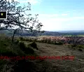 Снимка 4 — Парцел в Пловдив, с. Първенец