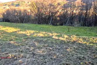 Парцел в Пловдив, с. Розовец