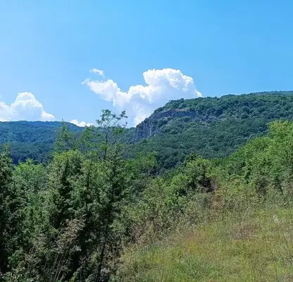 Снимка 4 — Парцел в Пловдив, с. Руен