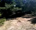 Снимка 2 — Парцел в Пловдив, с. Ситово