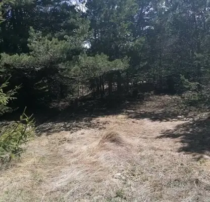 Photo 2 — Plot in Oblast Plovdiv, Sitovo