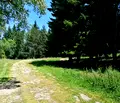 Снимка 3 — Парцел в Пловдив, с. Ситово