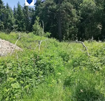Photo 4 — Plot in Oblast Plovdiv, Sitovo