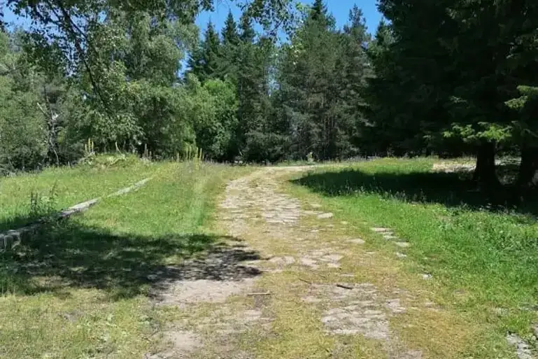 Plot in Oblast Plovdiv, Sitovo