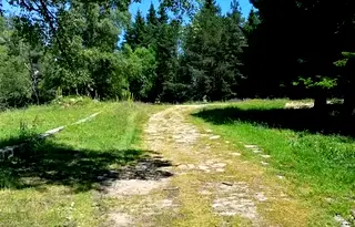 Парцел в Пловдив, с. Ситово