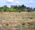 Снимка 3 — Парцел в Пловдив, с. Старо Железаре