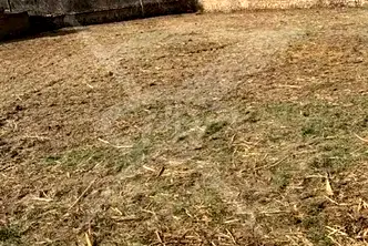 Парцел в Пловдив, с. Старосел