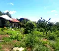 Снимка 5 — Парцел в Пловдив, с. Стрелци