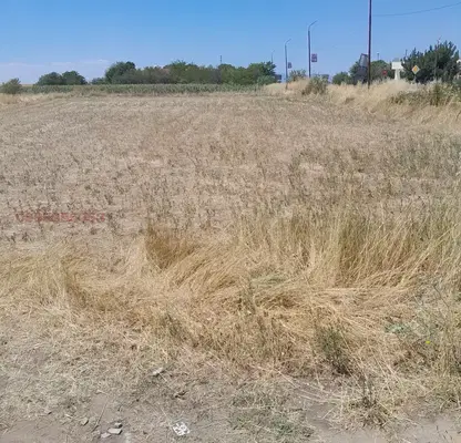 Photo 4 — Plot in Oblast Plovdiv, Strelci