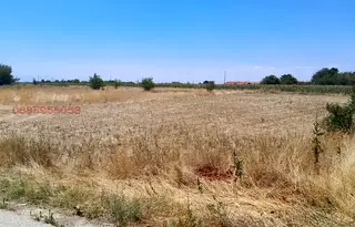 Парцел в Пловдив, с. Стрелци