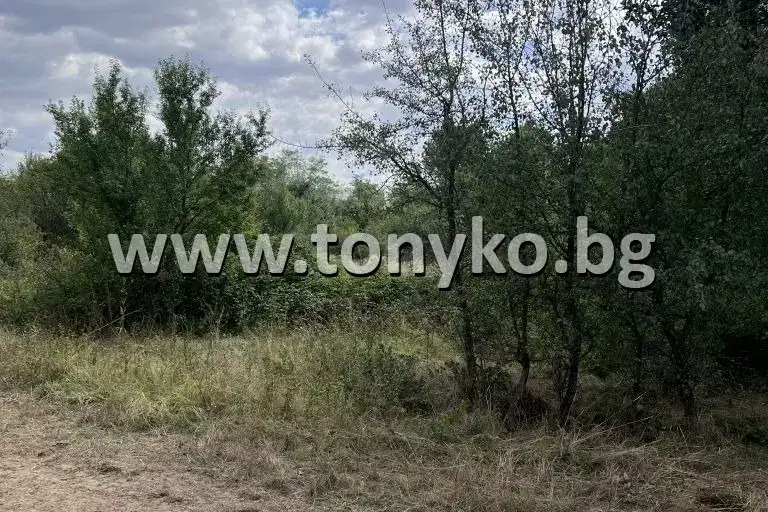 Plot in Oblast Plovdiv, Strelci