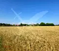 Снимка 2 — Парцел в Пловдив, с. Строево