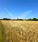 Парцел в Пловдив, с. Строево