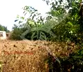 Снимка 3 — Парцел в Пловдив, с. Татарево