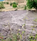 Парцел в Пловдив, с. Три могили