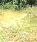Парцел в Пловдив, с. Труд