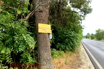 Парцел в Пловдив, с. Труд