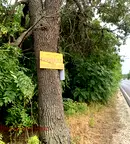 Парцел в Пловдив, с. Труд