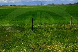 Парцел в Пловдив, с. Труд
