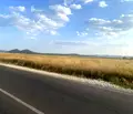Снимка 5 — Парцел в Пловдив, с. Марино поле