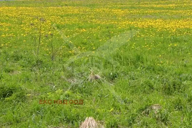 Парцел в Пловдив, с. Ведраре