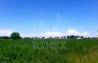 Парцел в Пловдив, с. Войводиново