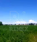 Парцел в Пловдив, с. Войводиново