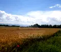 Снимка 2 — Парцел в Пловдив, с. Войводиново