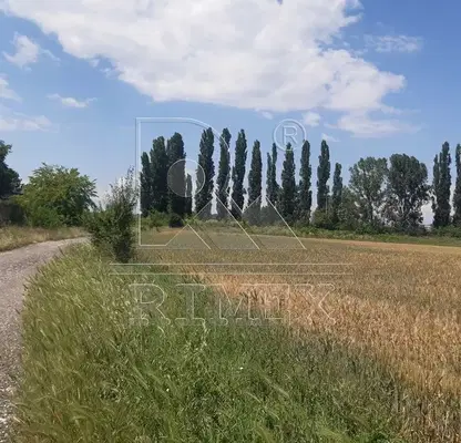 Снимка 3 — Парцел в Пловдив, с. Войводиново