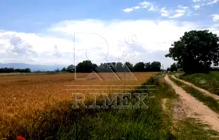 Парцел в Пловдив, с. Войводиново