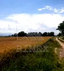 Парцел в Пловдив, с. Войводиново