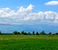 Снимка 4 — Парцел в Пловдив, с. Войводиново
