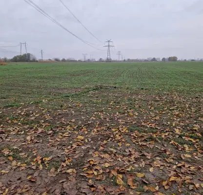 Снимка 3 — Парцел в Пловдив, с. Ягодово