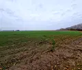 Снимка 5 — Парцел в Пловдив, с. Ягодово