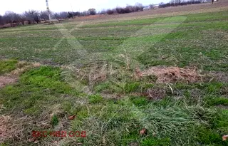Парцел в Пловдив, с. Ягодово
