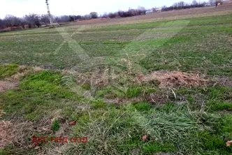 Парцел в Пловдив, с. Ягодово