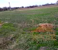 Снимка 2 — Парцел в Пловдив, с. Ягодово