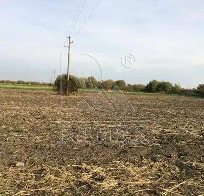 Photo 3 — Plot in Oblast Plovdiv, Yagodovo