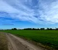 Снимка 4 — Парцел в Пловдив, с. Ягодово