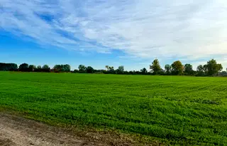 Парцел в Пловдив, с. Ягодово