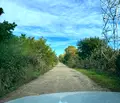 Снимка 3 — Парцел в Пловдив, с. Ягодово