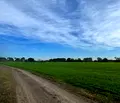 Снимка 4 — Парцел в Пловдив, с. Ягодово